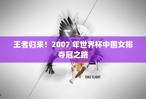 王者归来！2007 年世界杯中国女排夺冠之路