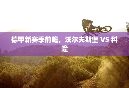 德甲新赛季前瞻，沃尔夫斯堡 VS 科隆