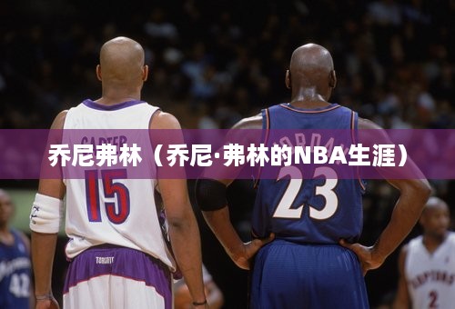 乔尼弗林（乔尼·弗林的NBA生涯）