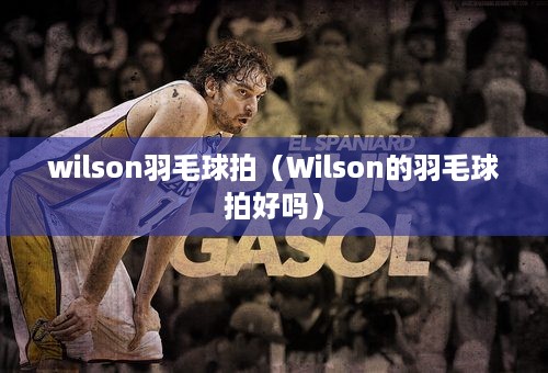 wilson羽毛球拍（Wilson的羽毛球拍好吗）