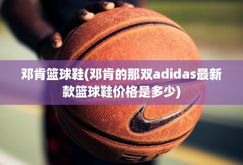 邓肯篮球鞋(邓肯的那双adidas最新款篮球鞋价格是多少)