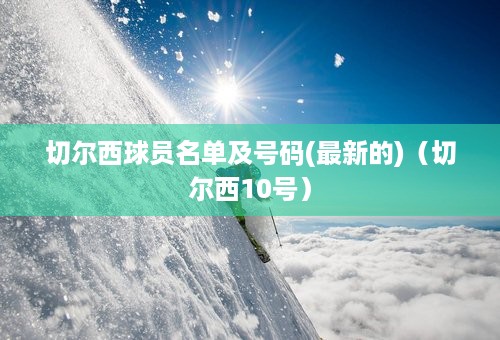 切尔西球员名单及号码(最新的)（切尔西10号）