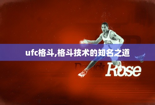 ufc格斗,格斗技术的知名之道