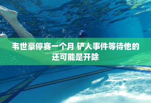 韦世豪停赛一个月 铲人事件等待他的还可能是开除