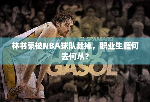 林书豪被NBA球队裁掉，职业生涯何去何从？