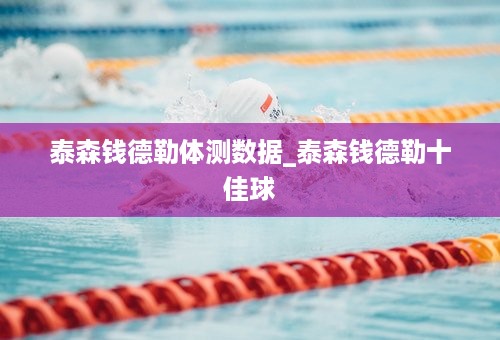 泰森钱德勒体测数据_泰森钱德勒十佳球