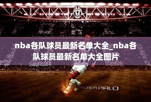 nba各队球员最新名单大全_nba各队球员最新名单大全图片