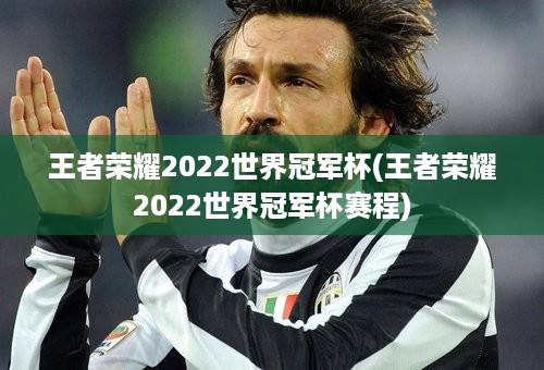 王者荣耀2022世界冠军杯(王者荣耀2022世界冠军杯赛程)