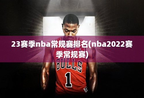 23赛季nba常规赛排名(nba2022赛季常规赛)