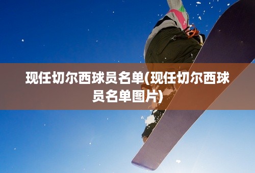 现任切尔西球员名单(现任切尔西球员名单图片)