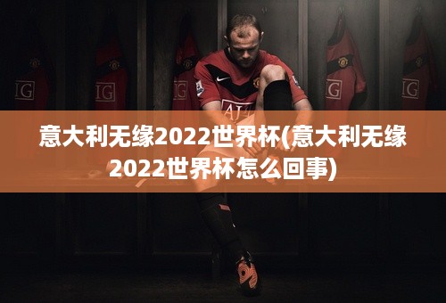 意大利无缘2022世界杯(意大利无缘2022世界杯怎么回事)