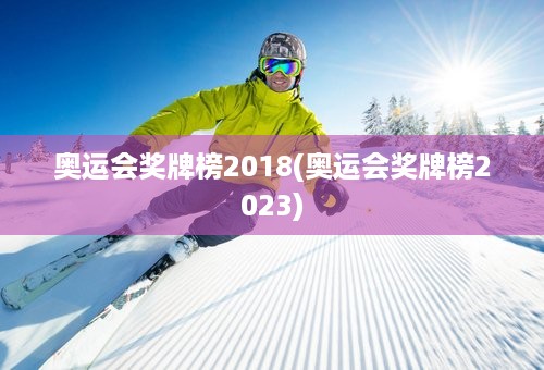 奥运会奖牌榜2018(奥运会奖牌榜2023)