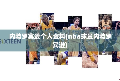 内特罗宾逊个人资料(nba球员内特罗宾逊)