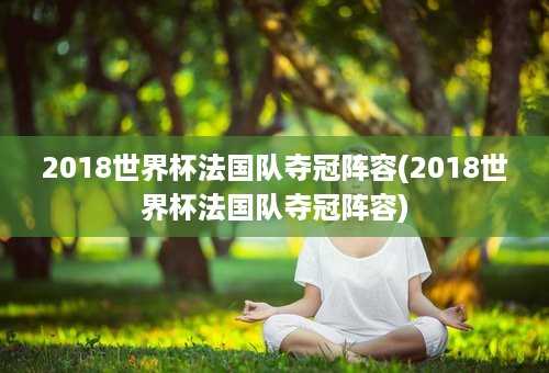 2018世界杯法国队夺冠阵容(2018世界杯法国队夺冠阵容)