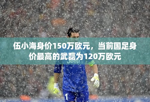 伍小海身价150万欧元，当前国足身价最高的武磊为120万欧元