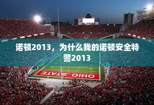 诺顿2013，为什么我的诺顿安全特警2013